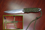 ͻӽССˮ歘O޷񲨶Ұµҹ3 ţX258